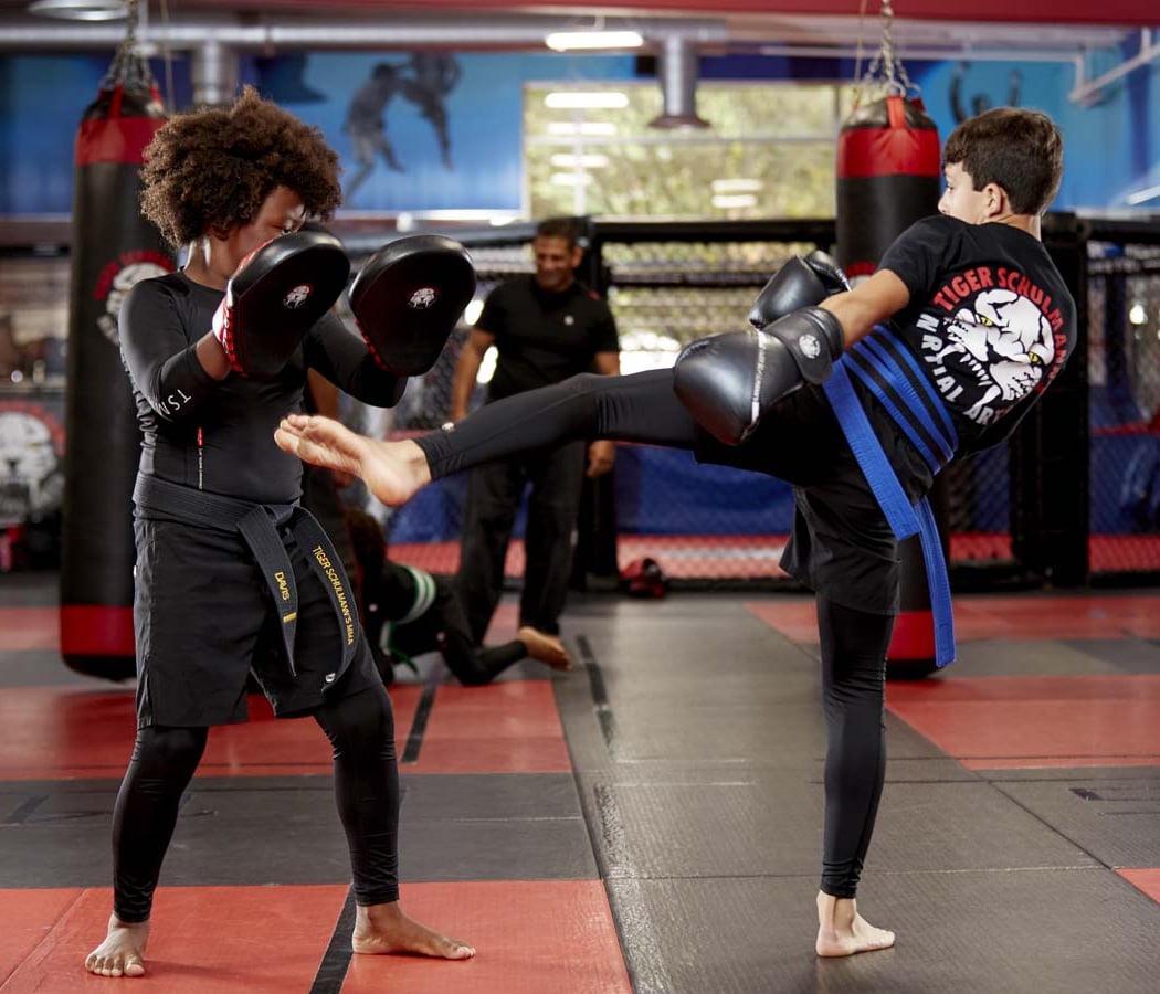 Tiger Schulmann's Martial Arts (Upper East Side, Manhattan, NY) 1