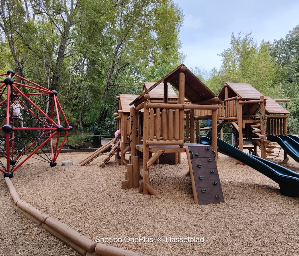 Nature Playgroup with Snails and Turkey Tails 3