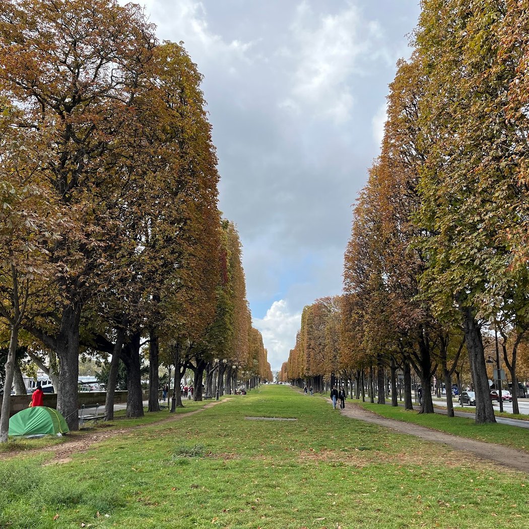 Promenade du Cours Albert 1er 1