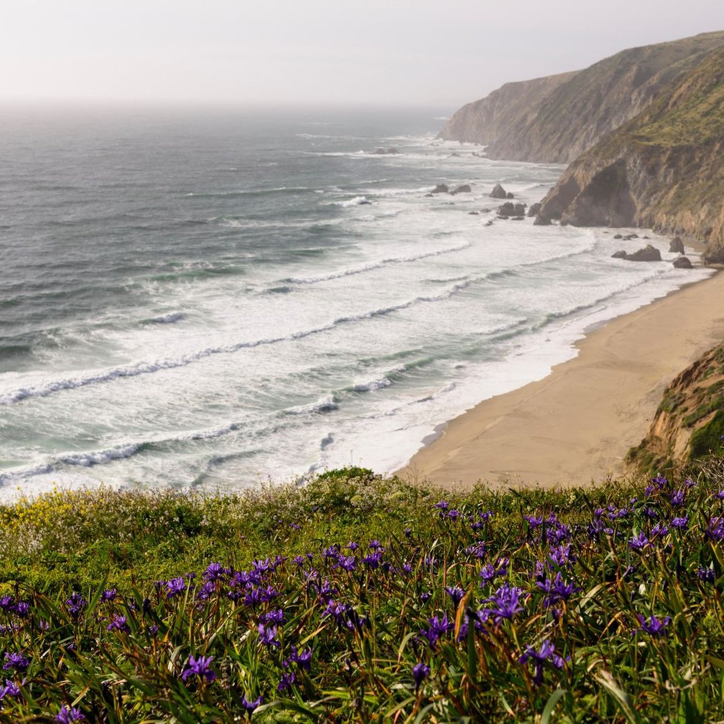 Tomales Point Trail 2