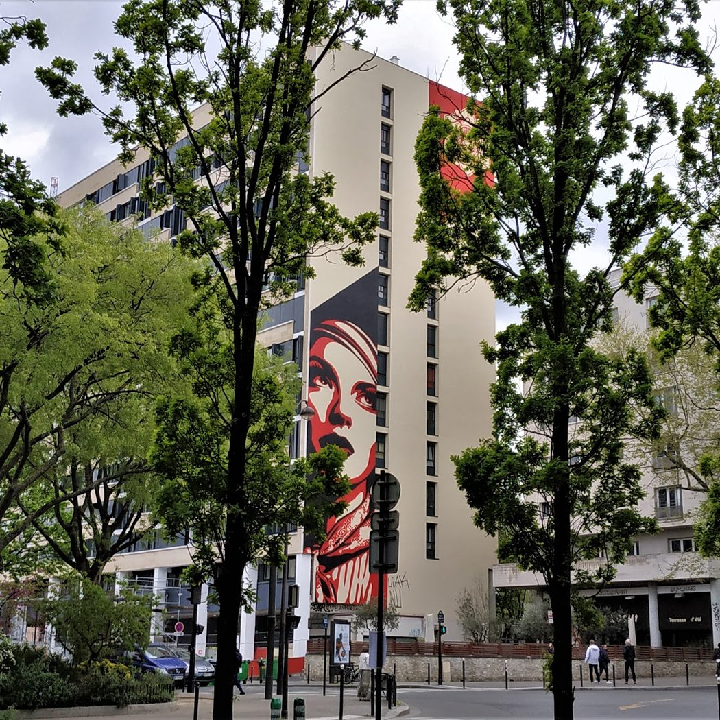 Street Art Graffiti Rise Above Rebel de OBEY 5