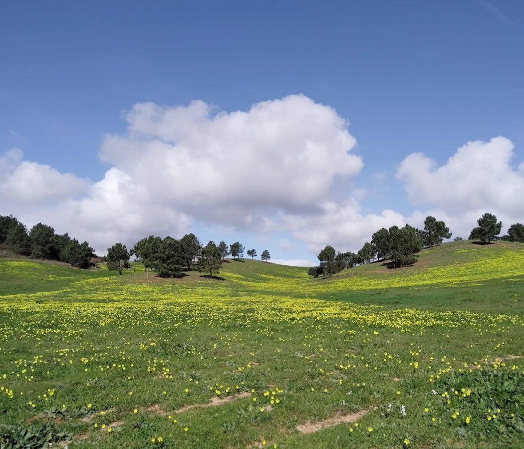 Passeio interpretativo | A Biodiversidade e História da Quinta do Pisão 2