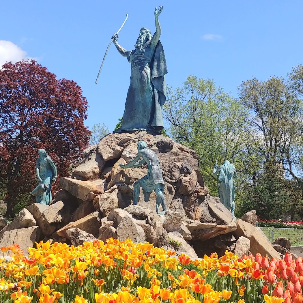 Albany Tulip Festival 1