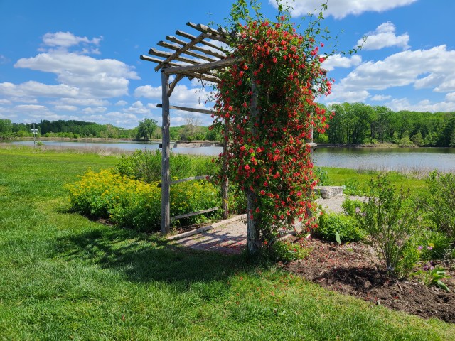 Mallard Lake Pollinator Garden Maintenance 5