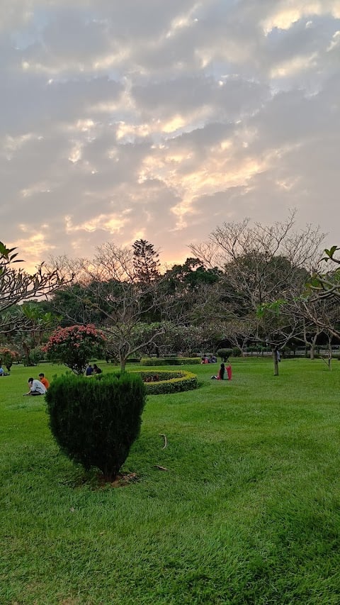 Cubbon Park Bengaluru Skaters 2