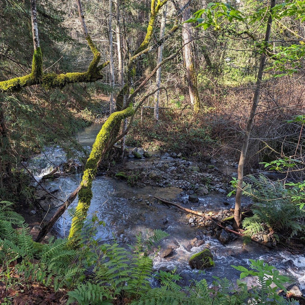 Trailhead for Redwood Trail in Bothe-Napa Valley State Park 3