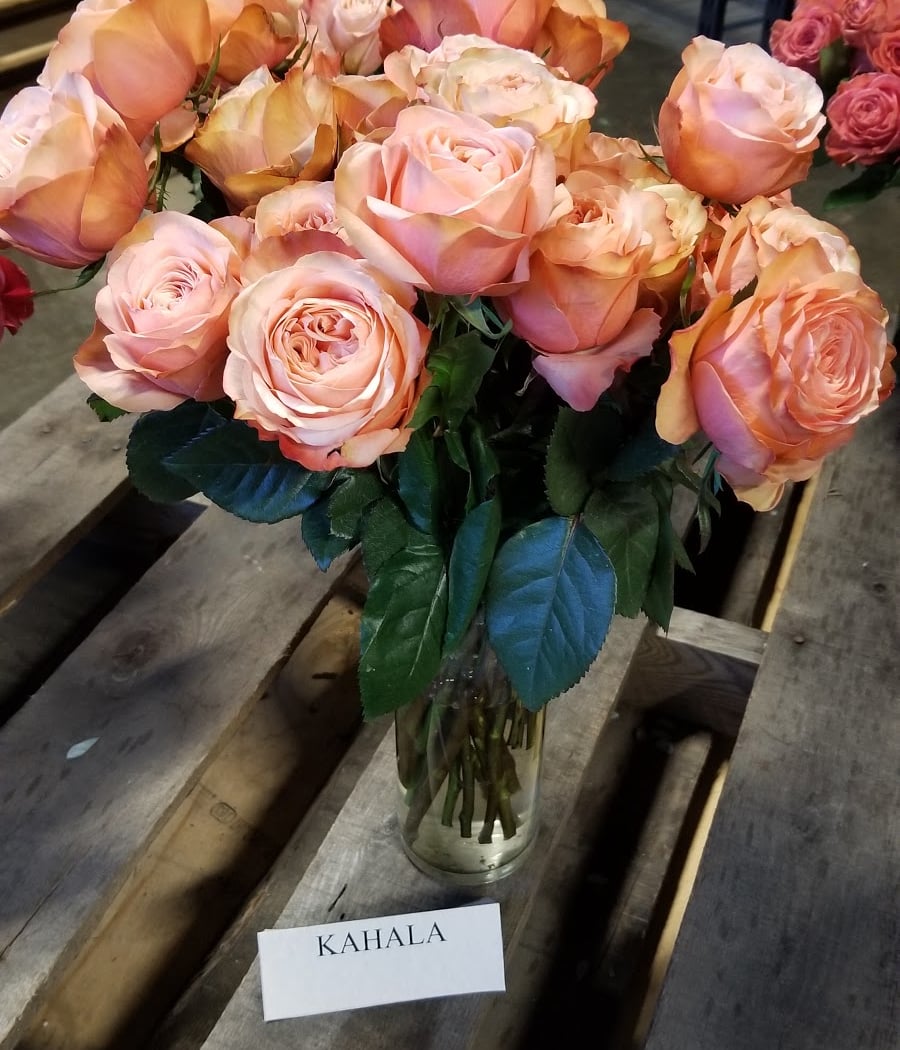 Point West Wholesale Flower Market 1