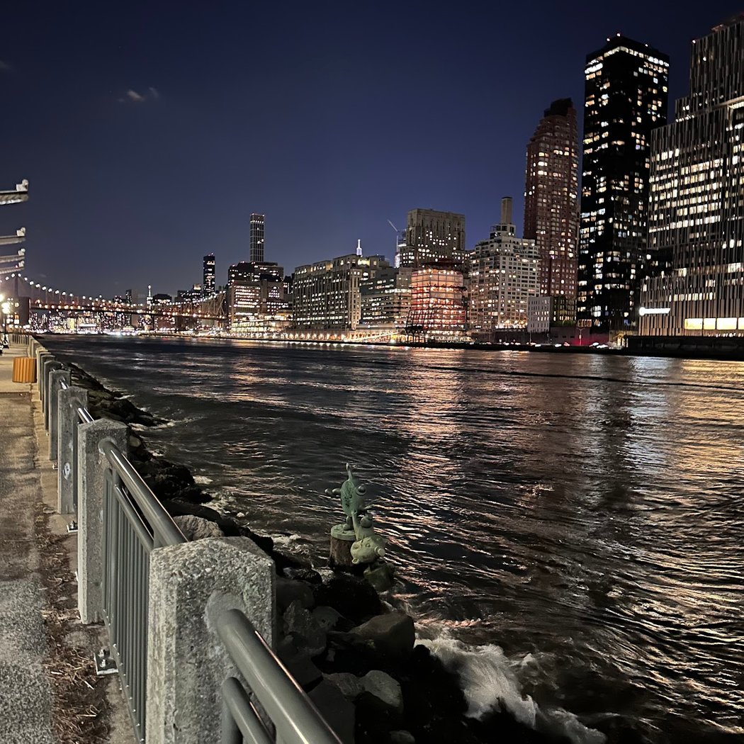 Anne-Marie Dannenberg’s Solo Photography Exhibit 2