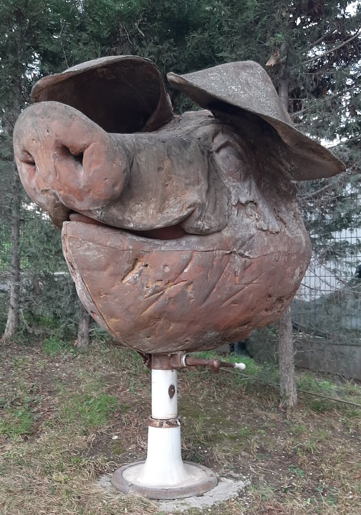 El Árbol - Raíces, Conexión y Trascendencia 1