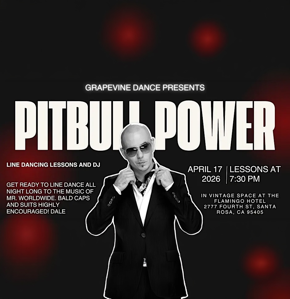Pitbull Power Line Dance Party 1