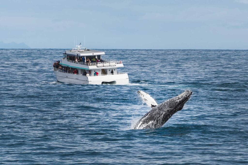 Half Moon Bay Whale Watch Departure 2