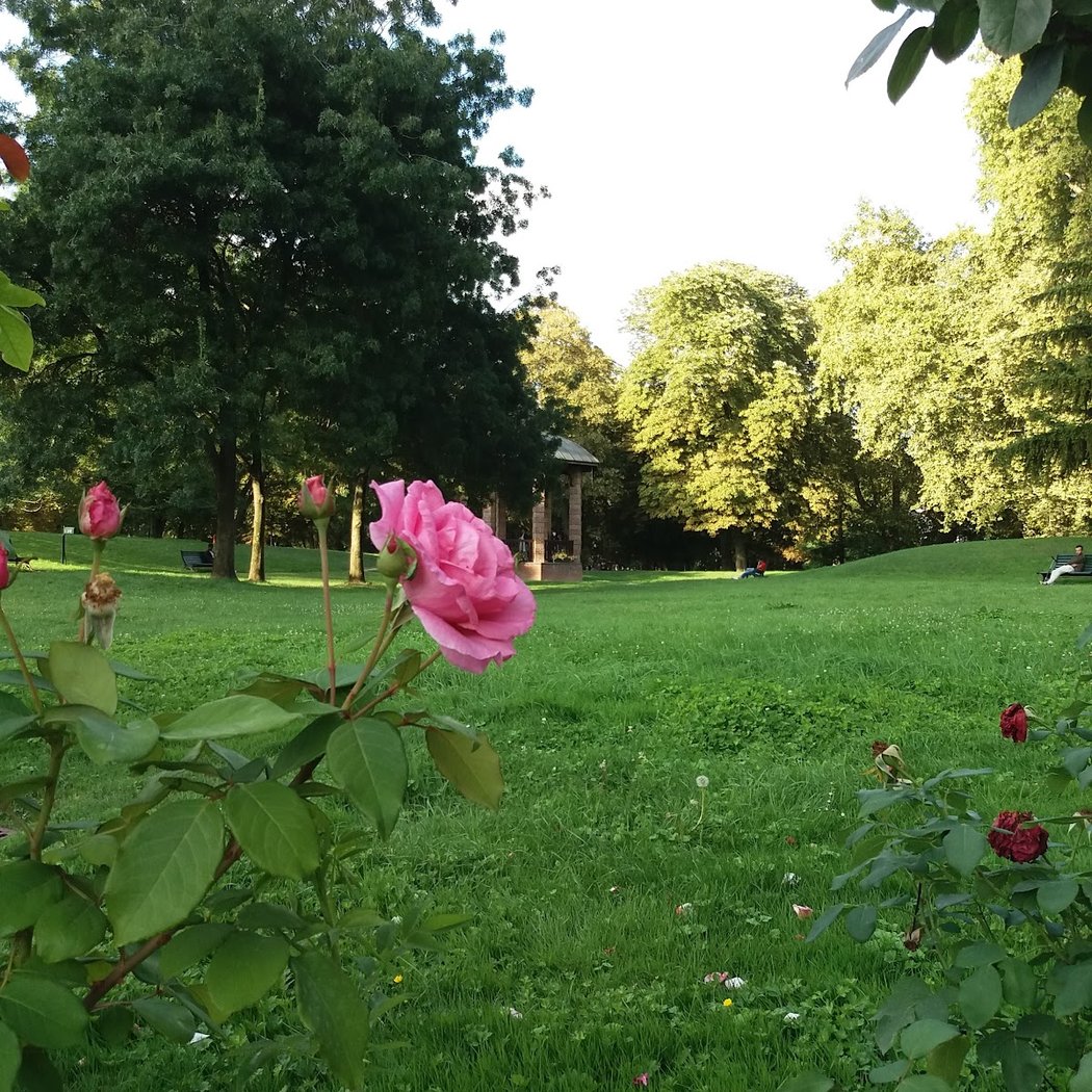 Parc de l'Île de Puteaux 3