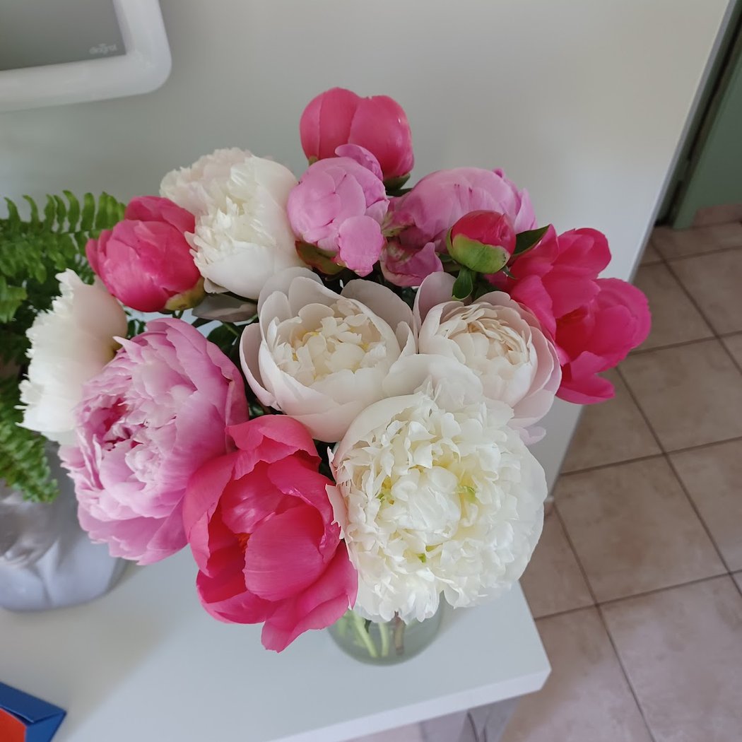 La Fleur En Plus 1