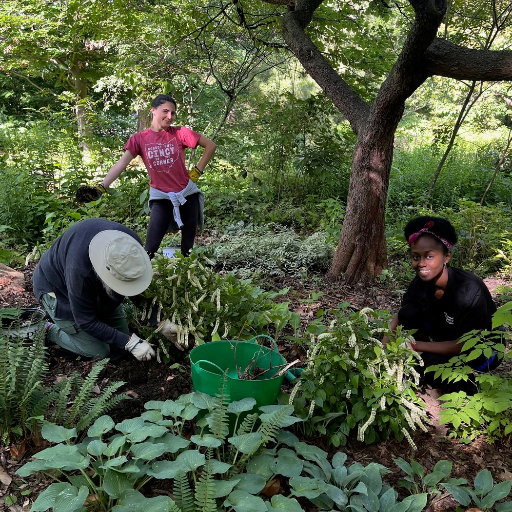 Hauck Veggie Garden Workday 2