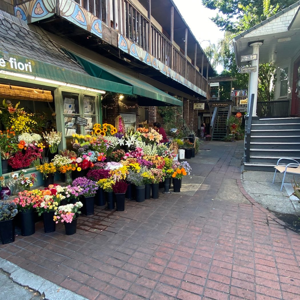 Piedmont Avenue 1