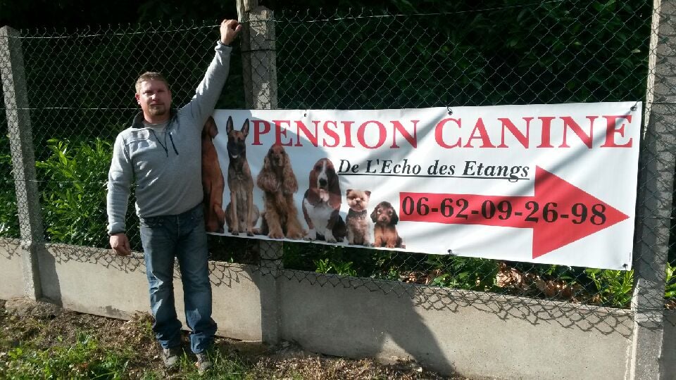 Pension Canine et Elevage de Springer Spaniel de l'Echo des Etangs 44 3