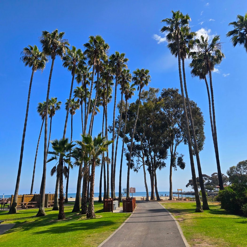 Doheny State Beach 1