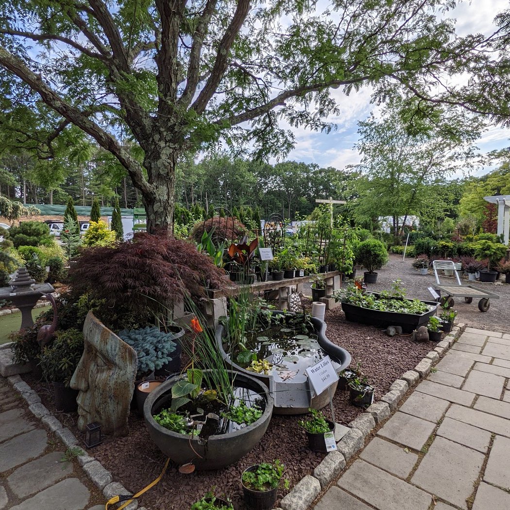 Winterberry Gardens 2