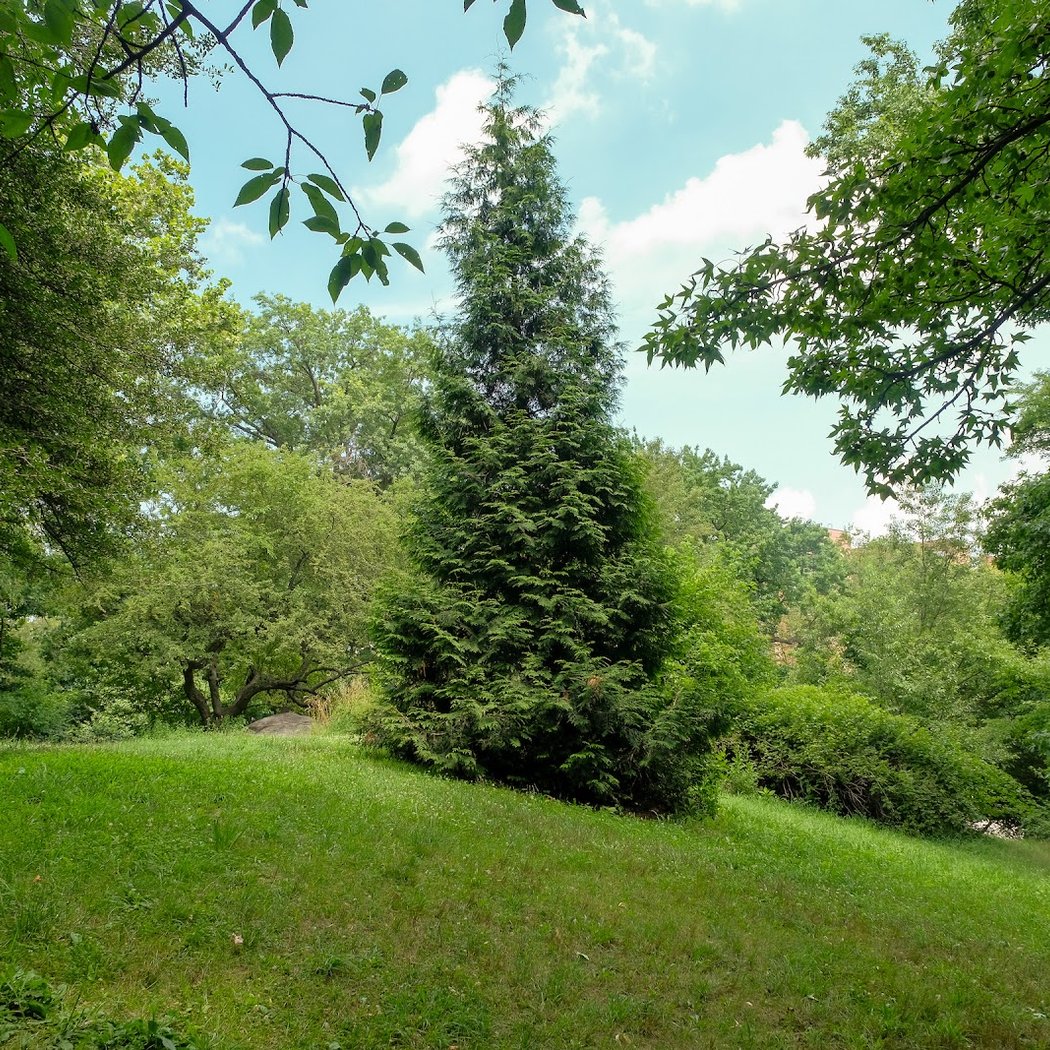 It's My Park at Ewen Park 2