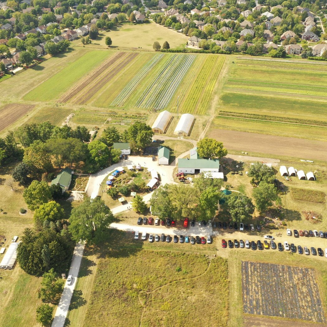 McDonald Farm 1