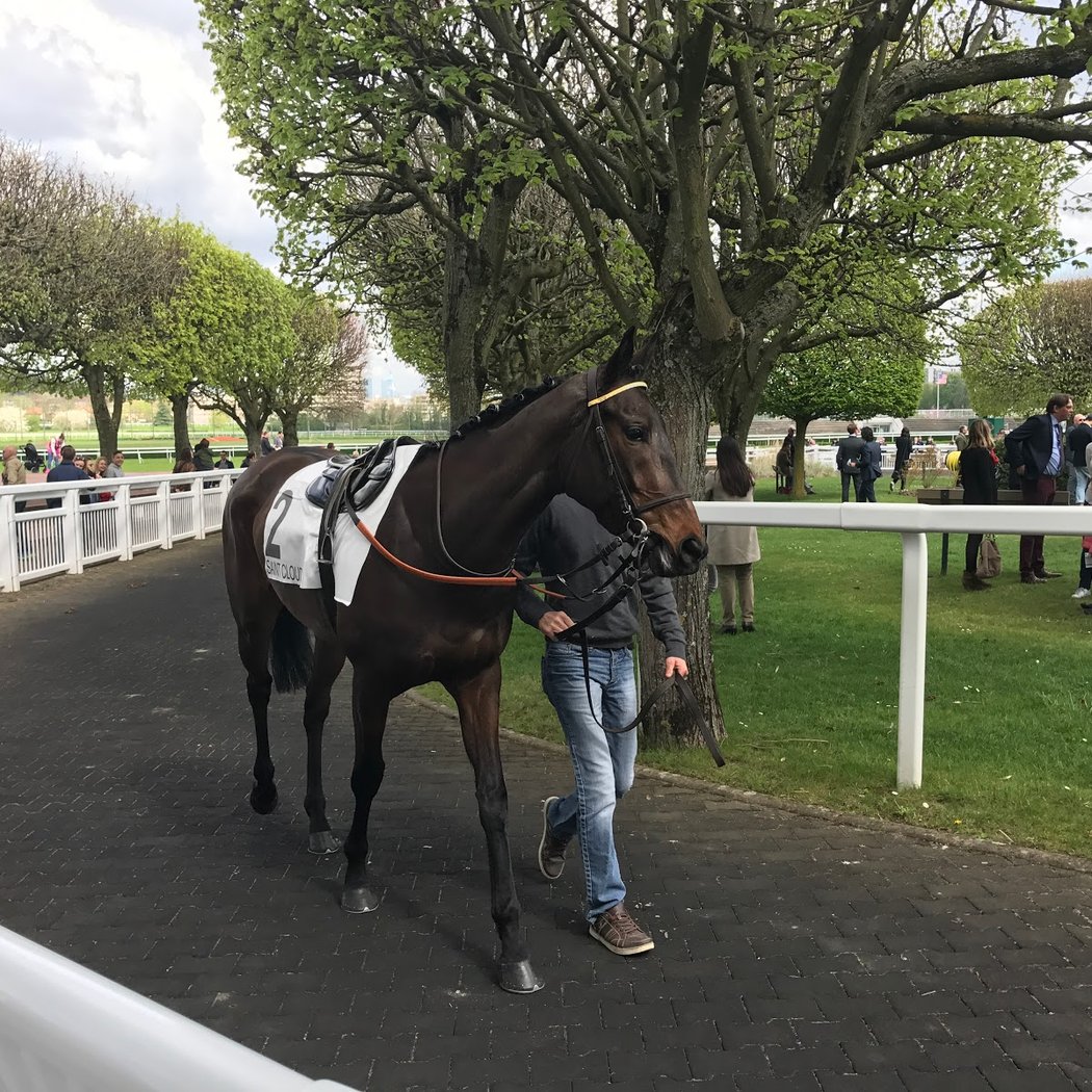 Grand Prix de Saint-Cloud 2