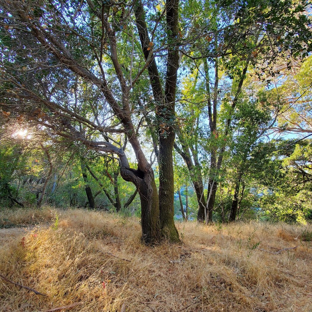 Gerstle Park 3