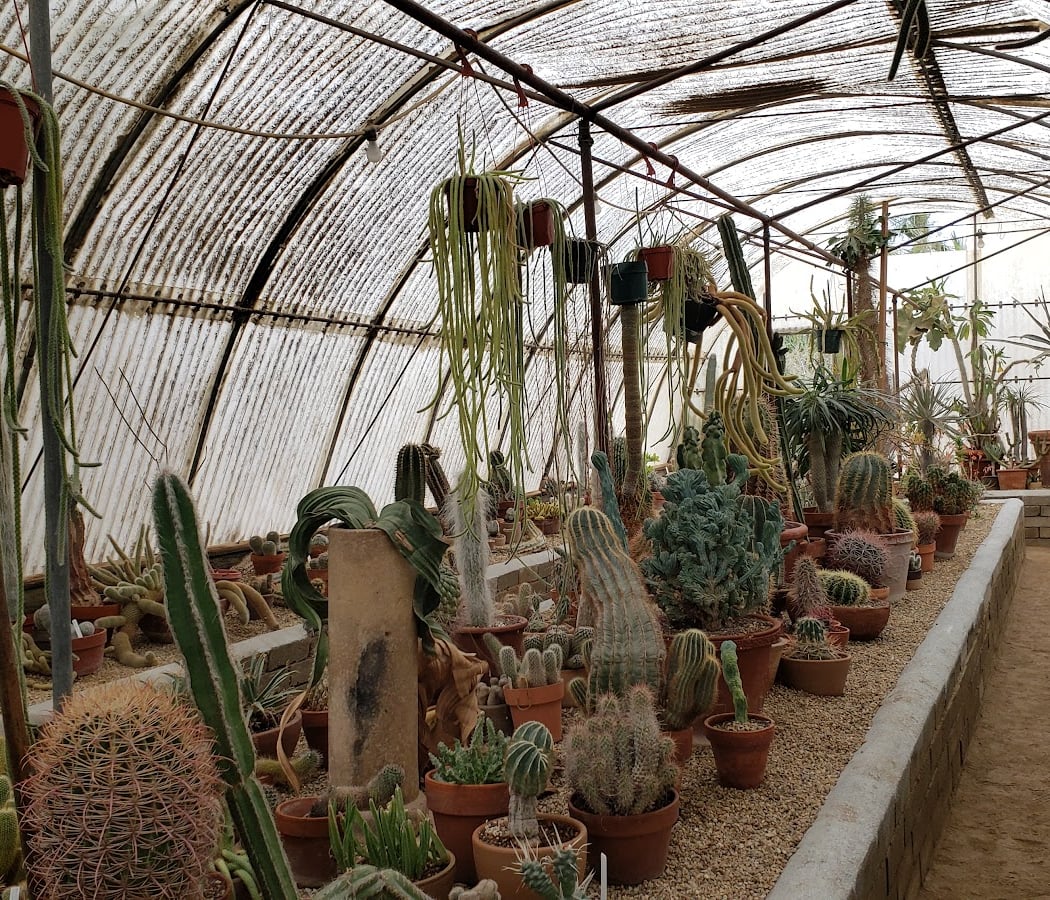 Moorten Botanical Garden 2