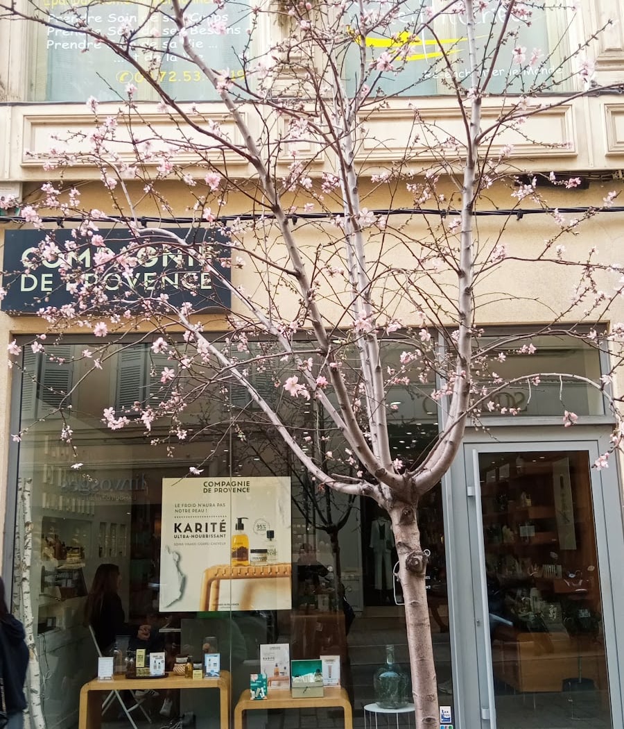 La Compagnie de Provence 4