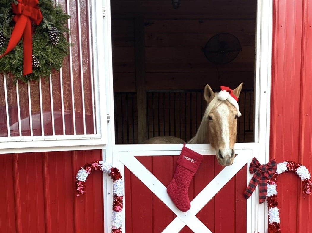 Holiday Market 1