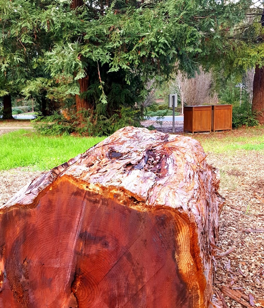Frenchman's Park 3
