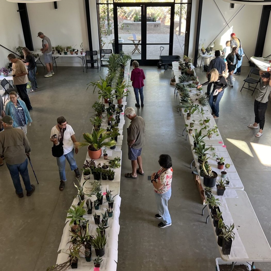 Spring Plant Swap 1