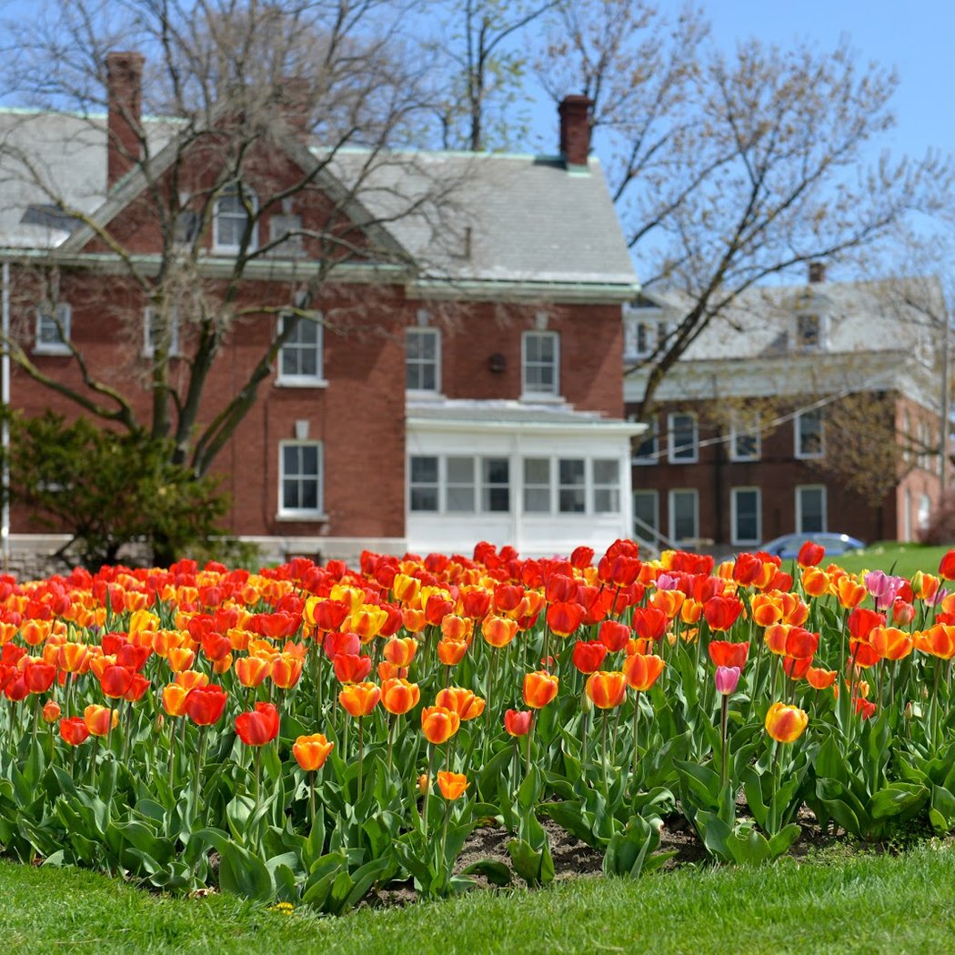 Fort Totten Park 3