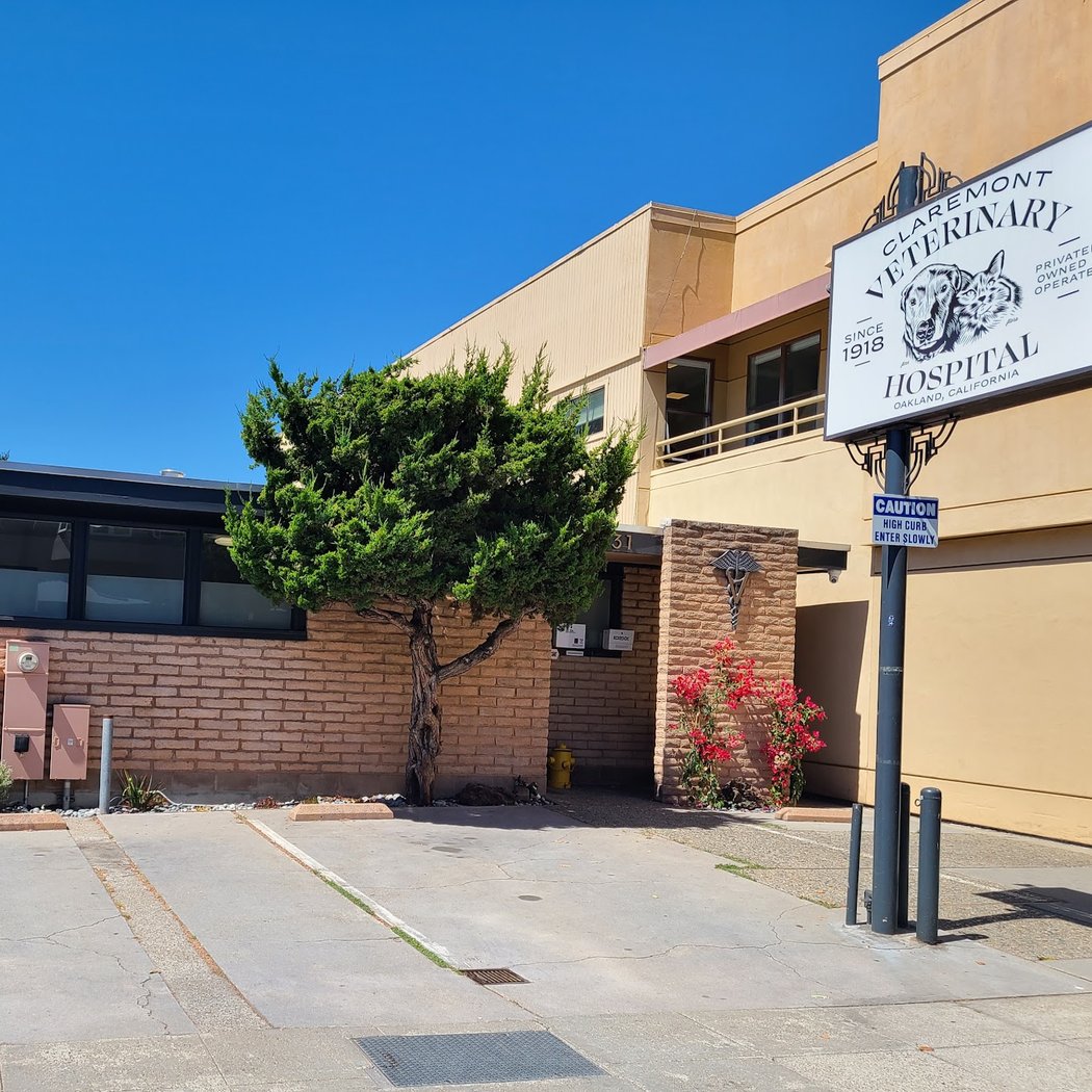 Claremont Veterinary Hospital 2