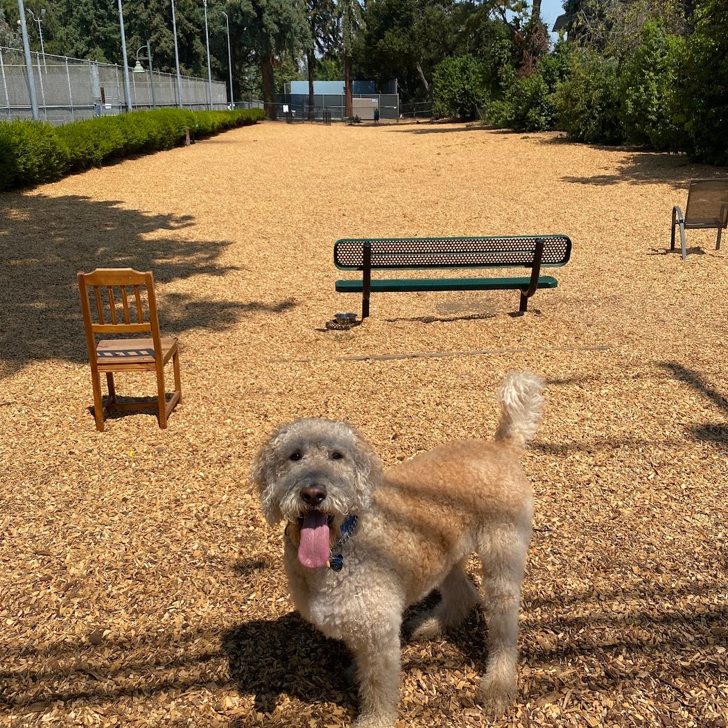 Fenced Dog Park | Rengstorff Park 1
