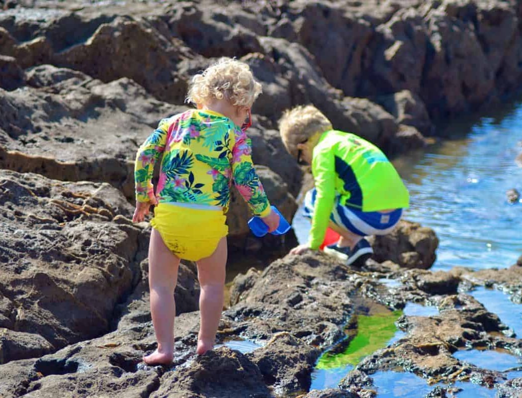 Tide Pools for Tots 4