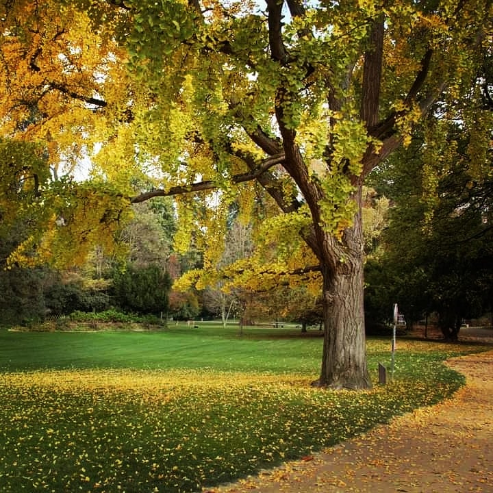 Parc Cadet de Vaux 1