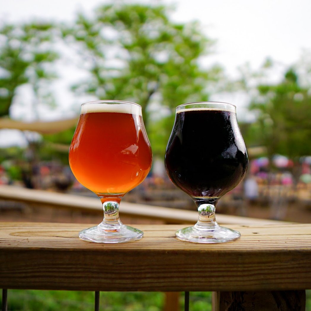 12 Fox Beer Co 1