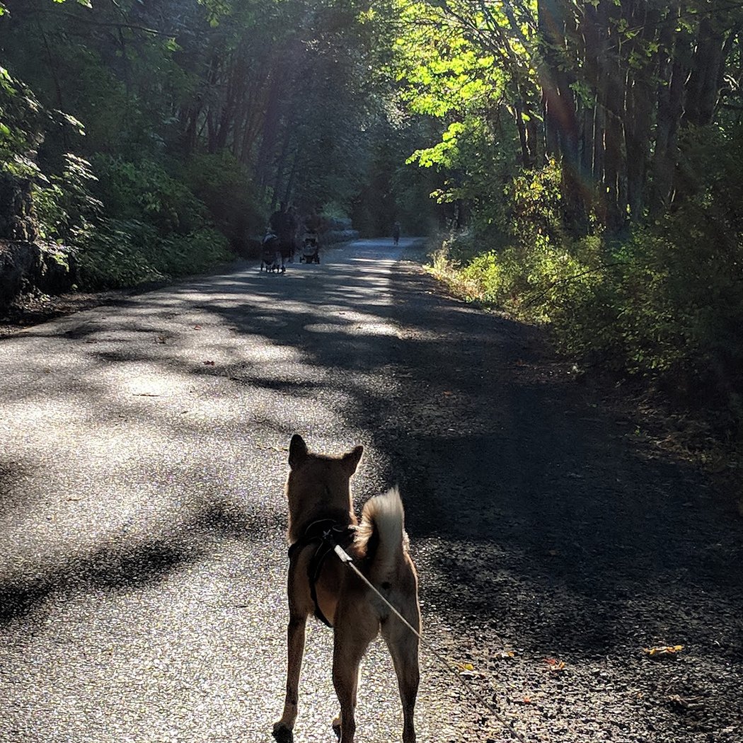 Park Run 1