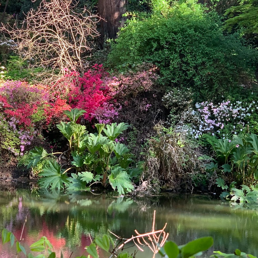 Sonoma Horticultural Nursery 2