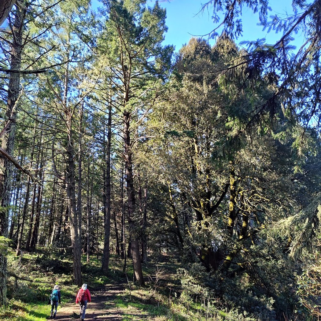 Purisima Creek North Ridge Trailhead 2