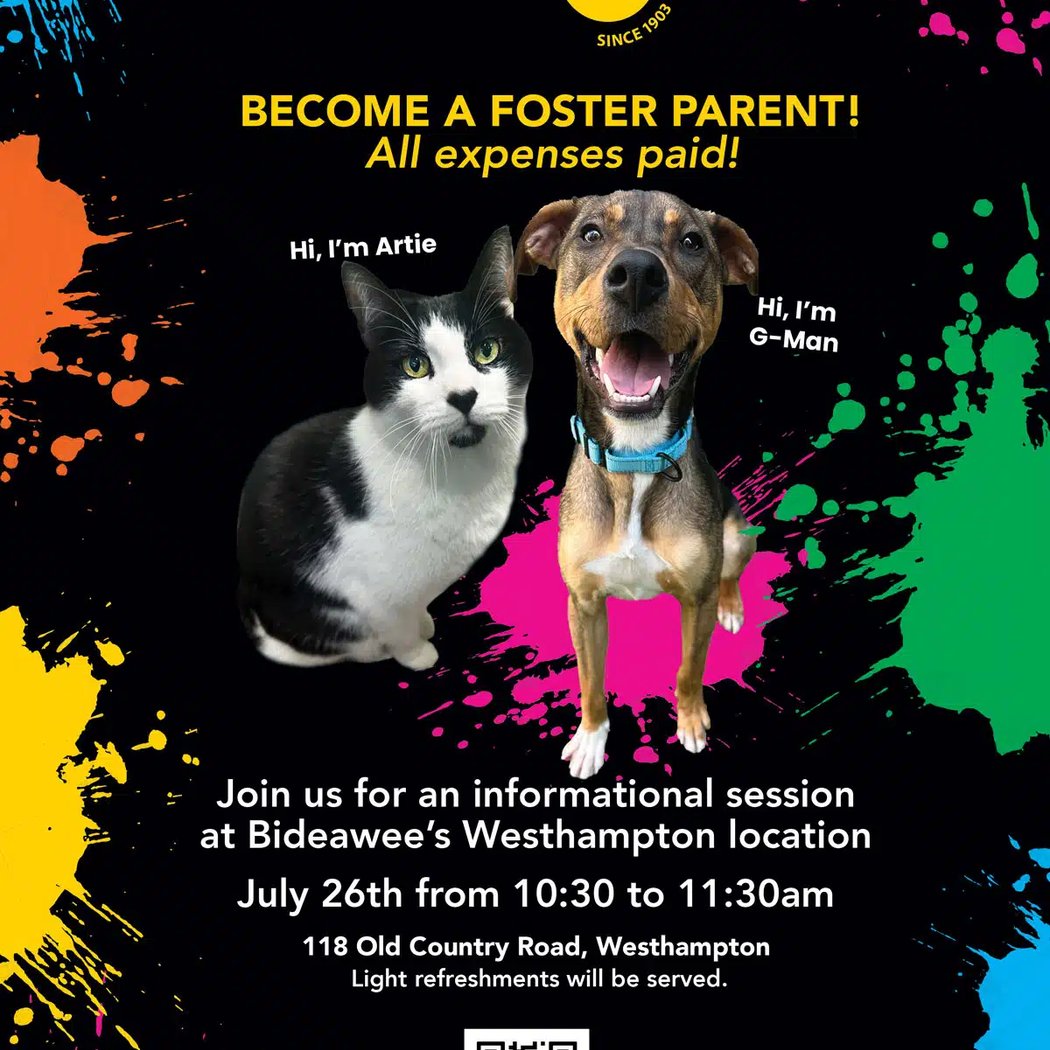 Foster Parent Info Session 1