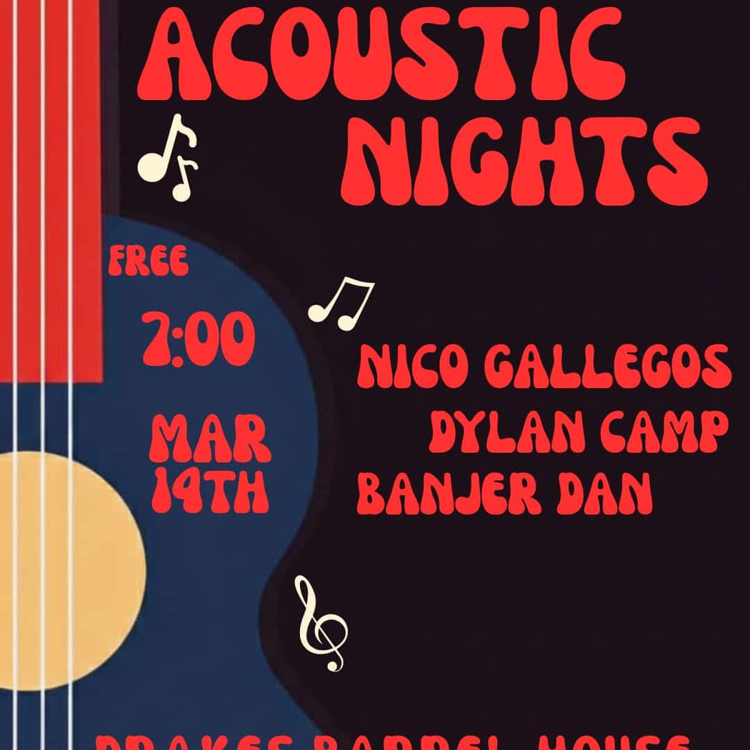 Acoustic Nights 1
