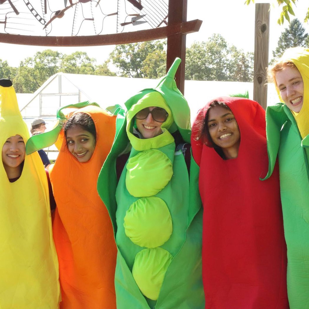 Climate Week: Harvest Fest