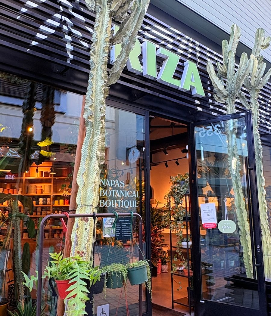 First Street Napa Sidewalk Sale 2