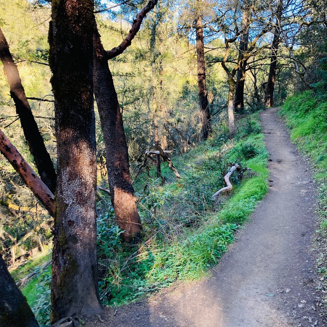Creekside Trail 3
