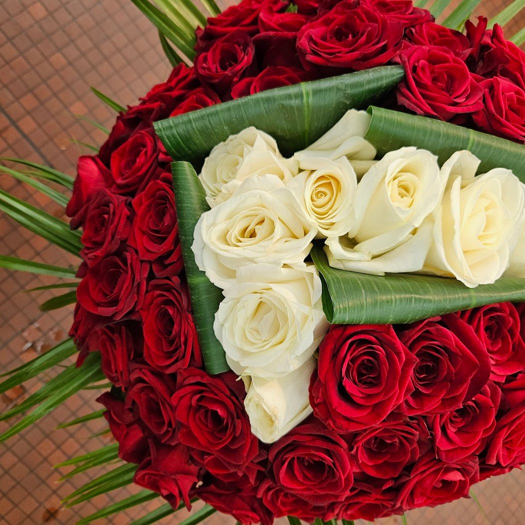 Maxi-Flora 1
