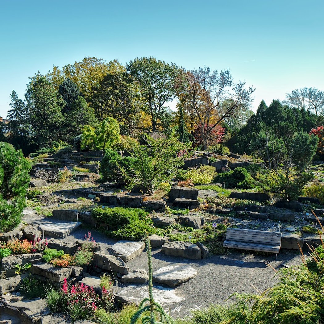Alpine Garden 2
