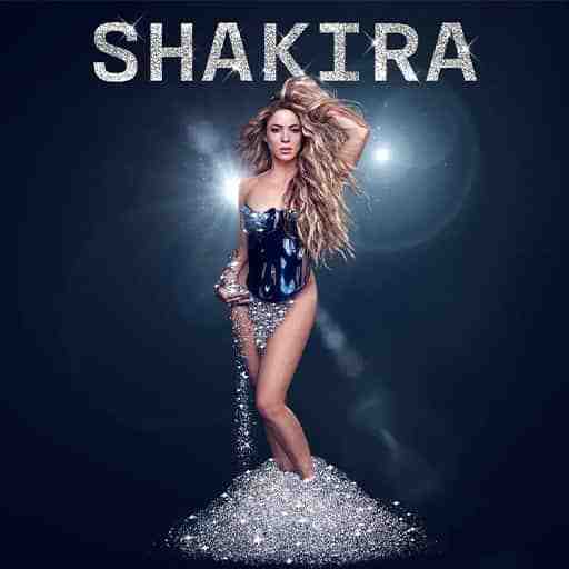 Shakira Concert 2