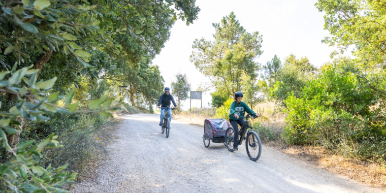 Passeio interpretativo | A Biodiversidade e História da Quinta do Pisão 1