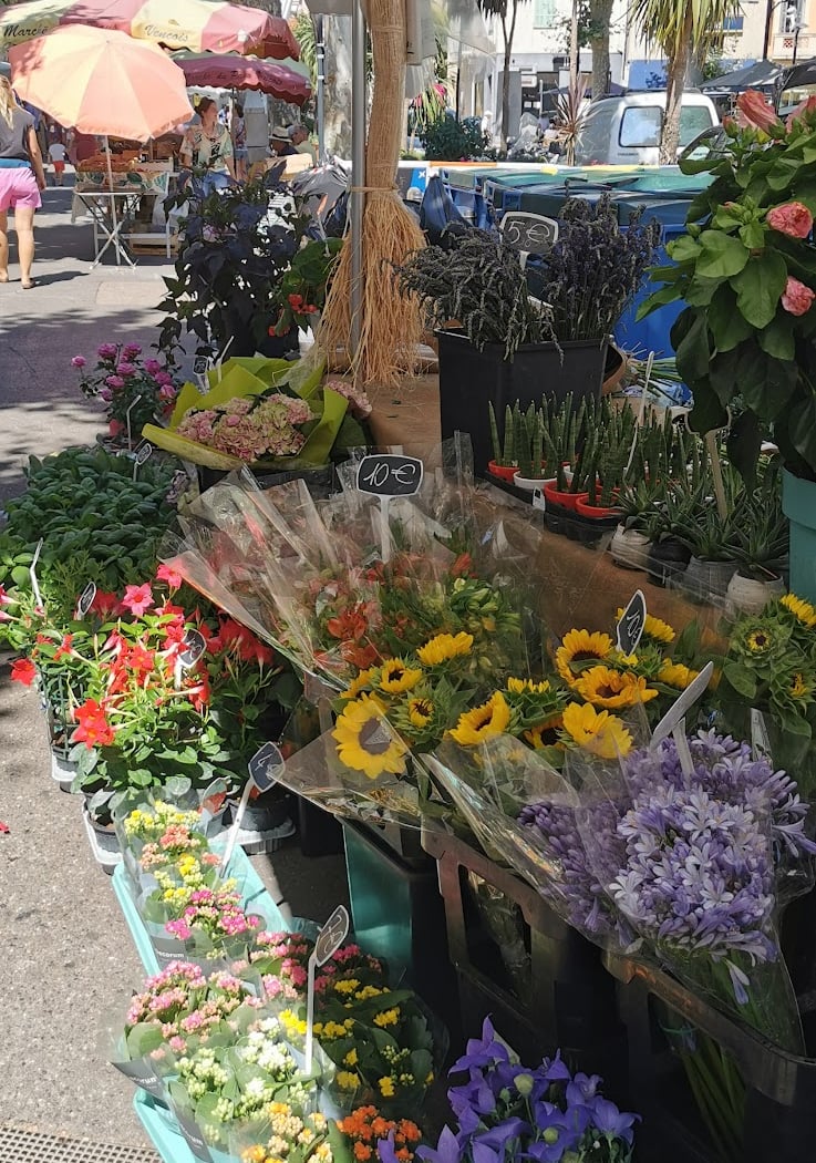 Place du marché - Vence 1
